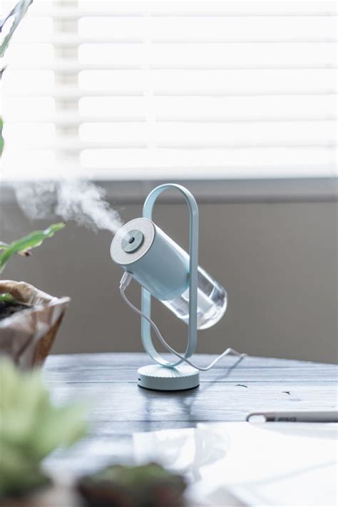 The Plant Humidifier | Shade garden plants, Plant humidifier, House ...