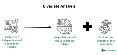 Bivariate Analysis - What Is It, Correlation, Examples, vs Univariate