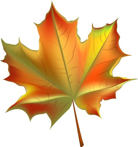 Download High Quality fall leaves clipart large Transparent PNG Images ...