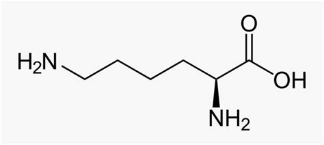 Lysine Molecular Structure - Lysine Formula , Free Transparent Clipart ...