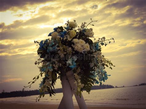 Wedding on the sandy beach stock photo. Image of pledge - 107427832