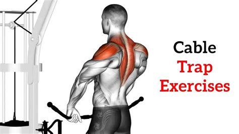 Trapezius Muscle Exercise