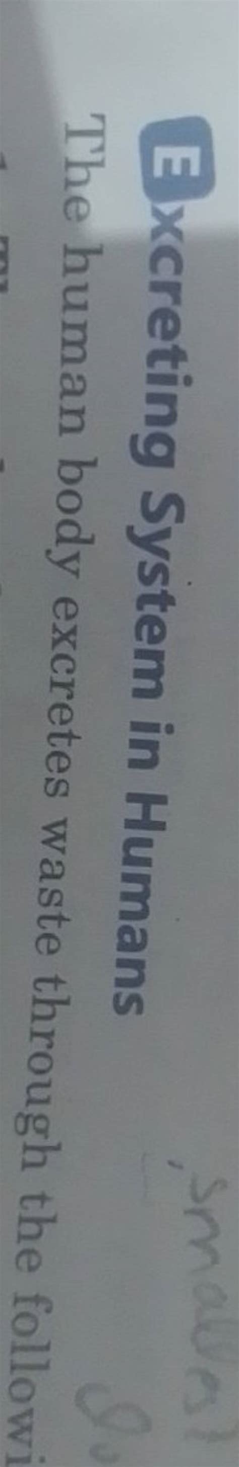 Excreting System in HumansThe human body excretes waste through the foll..