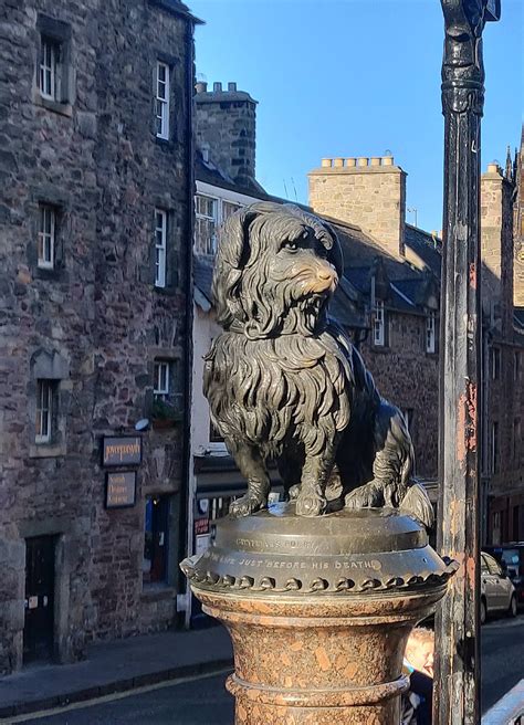 Greyfriars Bobby statue in Edinburgh | Statue, Greyfriars bobby, Lion ...