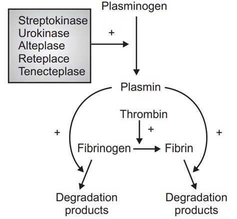 Fibrinolytics - (Pharmacology) - Solution Parmacy