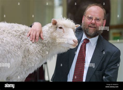 Professor Ian Wilmut stands beside Dolly The Sheep, (the sheep that he ...