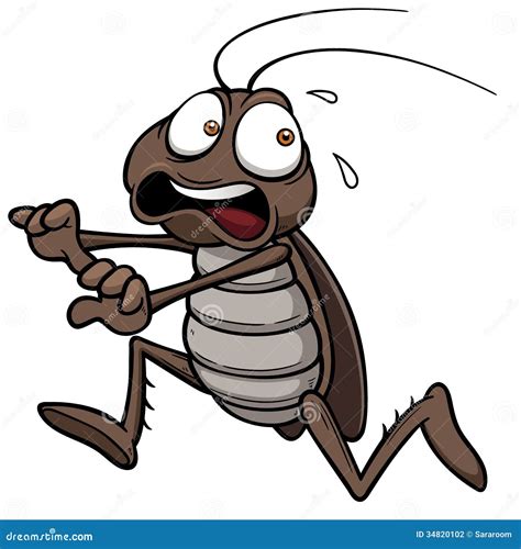 Scared Cockroach Insect Vector Cartoon | CartoonDealer.com #98179176