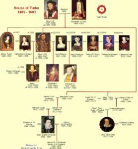 Any Real Inspection of the Family Tree of Henry VII