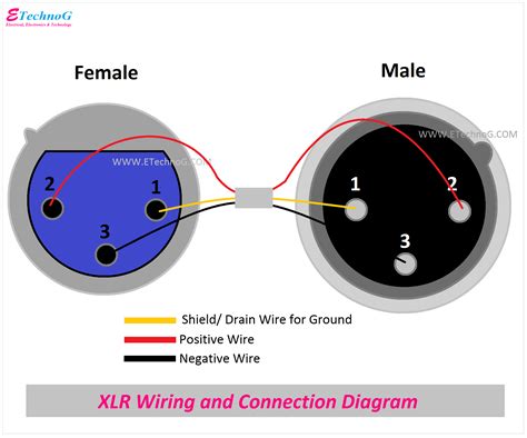 XLR Pinout, Wiring Diagram - Male and Female Connector - ETechnoG