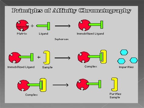 Affinity chromatography