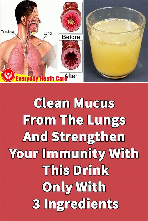 Clean Mucus From The Lungs And Strengthen Your Immunity With This Drink ...