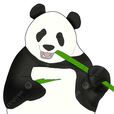 Panda Eating Bamboo, Panda, Eat, Bamboo PNG Transparent Clipart Image ...