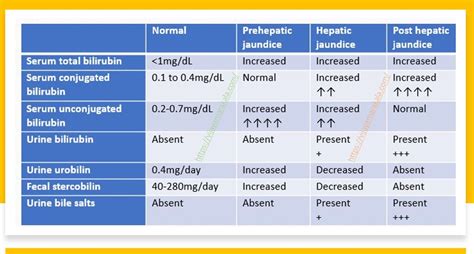 Startling Collections Of Liver Function Test Interpretation Table Ideas ...