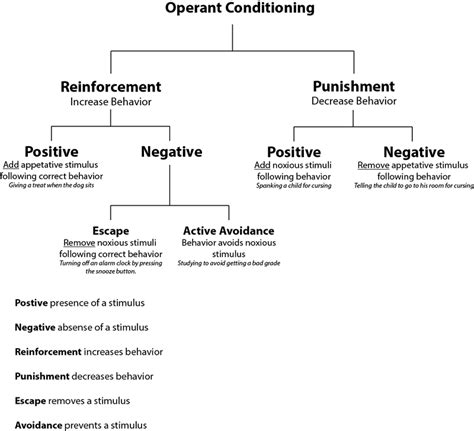 Difference Between Classical and Operant Conditioning | Comparison of ...