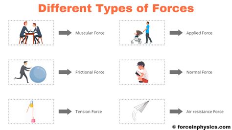 Examples Of Gravitational Force In Our Daily Life