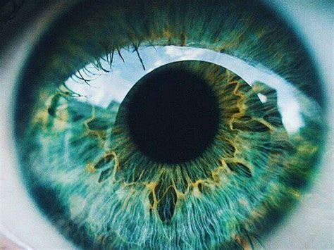 Pin by • MNRC • on Eyes | Eye close up, Beautiful eyes color, Turquoise ...