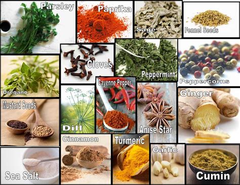 Culinary Physics: List of Cooking Spices with Pictures