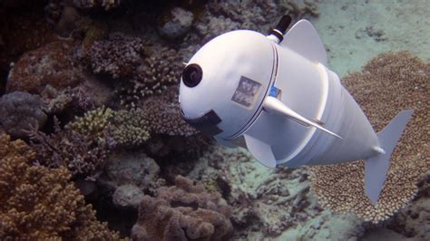 WATCH: Robotic Fish Moves Like The Real Thing — So It Can Observe The ...