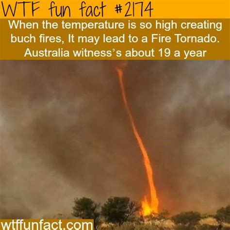 Fire tornados in Australia - WTF fun facts | Random | Pinterest | The ...