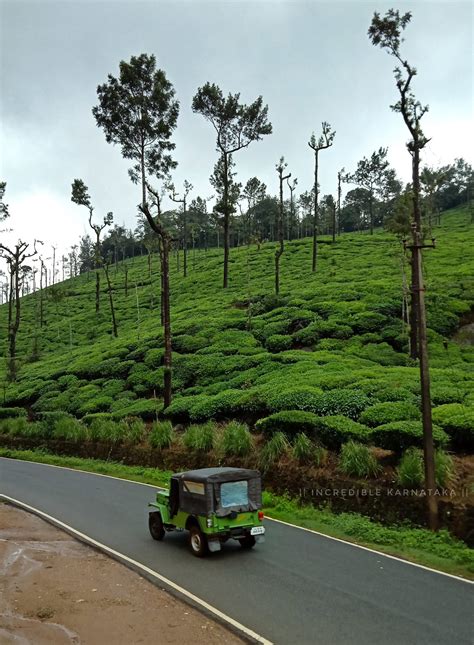 Kalasa - Kottigehara route (... - Incredible Karnataka