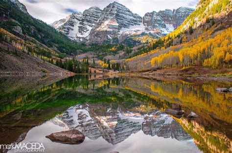 the trembling giant - fishlake national forest | Wyoming travel road ...