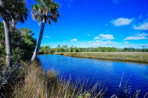 15 Best Things To Do in Spring Hill, FL You Shouldn't Miss - Florida ...