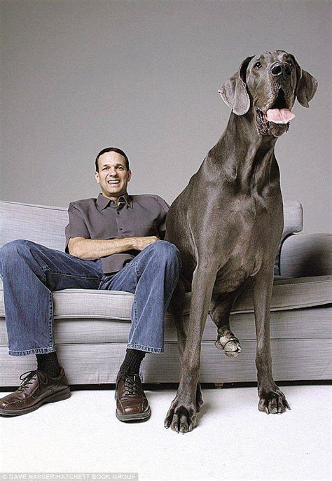 World Records for the Heaviest Pets | Marsden Weighing