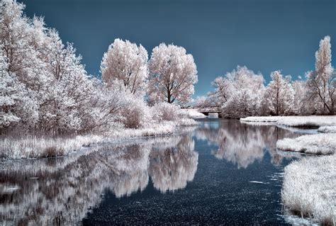 Ice Lake Frozen Trees 4k, HD Nature, 4k Wallpapers, Images, Backgrounds ...