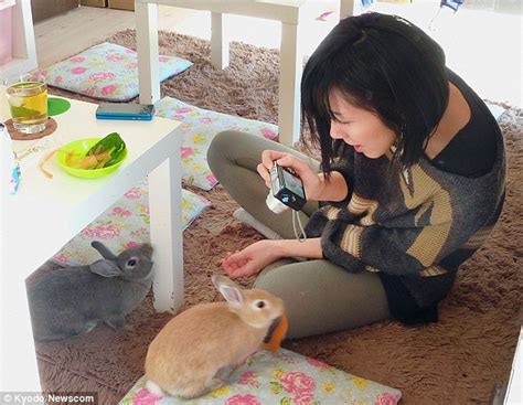 Bunny café: Rabbits mingle with diners in Tokyo coffee house | Daily ...