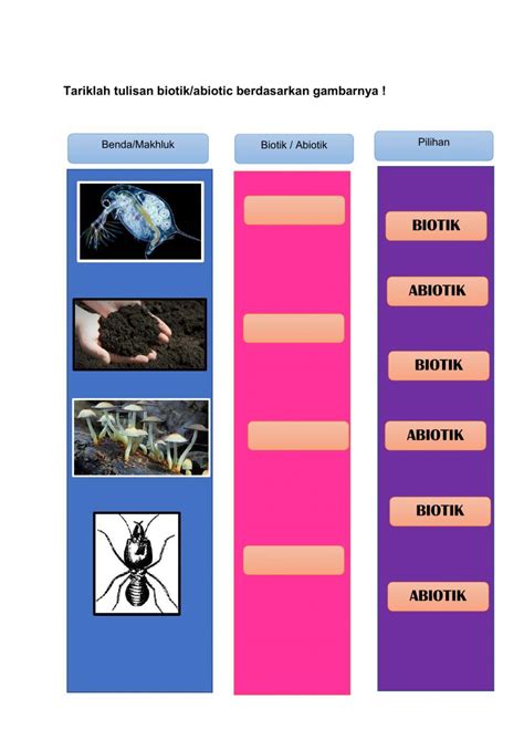 Lkpd Biotik Abiotik Interactive Worksheet - Riset