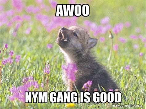 awoo nym gang is good - Baby Insanity Wolf | Make a Meme