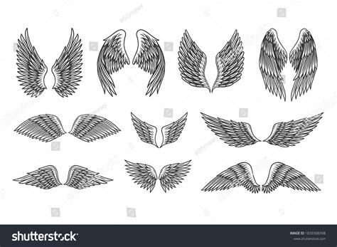 Set Vintage Retro Wings Vector Illustration Stock Vector (Royalty Free ...