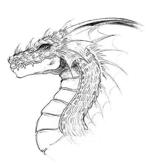 Dragon head by lastwarrior14 on DeviantArt