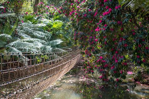 Abbotsbury Subtropical Gardens - Best of Dorset Attractions