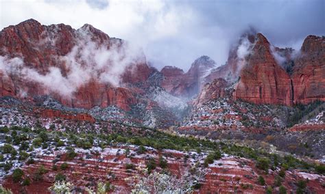 Are Dogs Allowed In Kolob Canyon