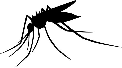 Mosquito Computer Icons Clip art - mosquito png download - 980*554 ...