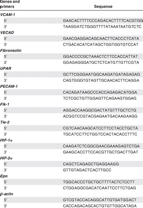 Primers used for PCR | Download Table