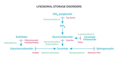 Lysosomal Storage Disease Usmle - Quotes Marco