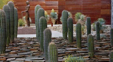 Rock Your Yard with This Fresh Take on Xeriscape - Phoenix Home & Garden