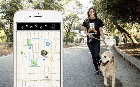 Best Dog Walking App For Android & iOS 🐶