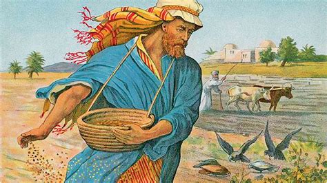 The Parable Of The Sower | Images and Photos finder