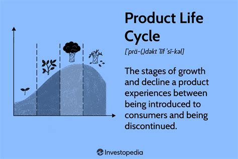 Product Life Cycle Examples Of Products