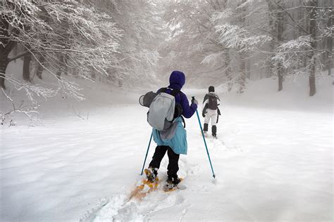 All the Mountains, None of the Risk: Snowshoeing at Colorado Resort ...