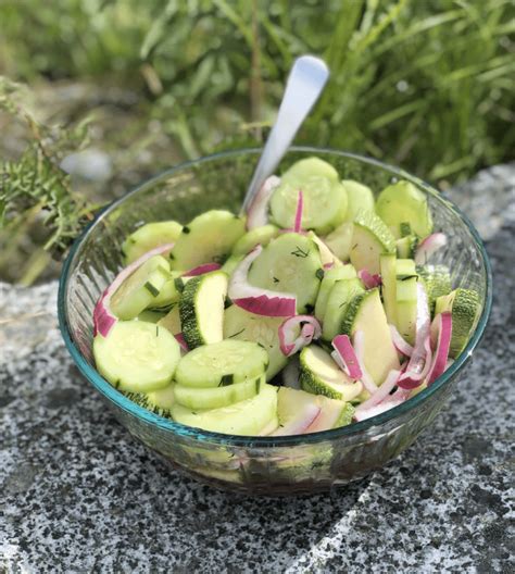 Cucumber Onion Vinegar Salad - RDRx Nutrition