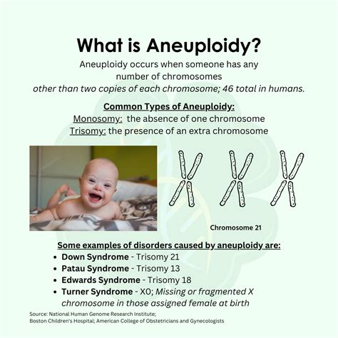 Aneuploidies — Clover Genetics