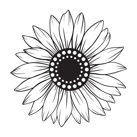 sunflower line art, sunflower line drawing, floral line drawing ...