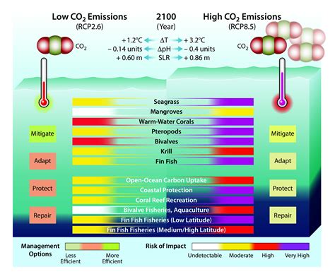 Biogeochemical Effects of Rising Atmospheric Carbon Dioxide - Second ...