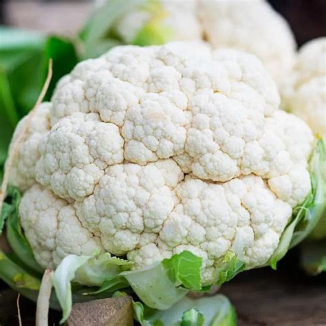 Early Snowball Cauliflower – Greta's Family Gardens