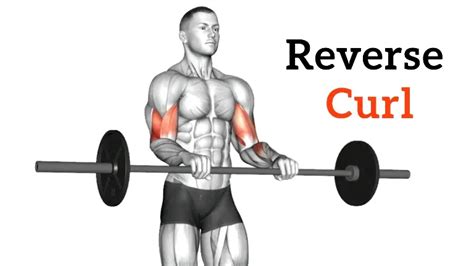 Reverse Bicep Curl: Muscle Worked, Benefits, Variations