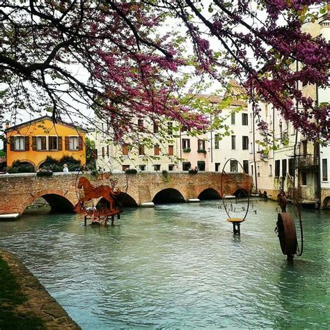 Treviso